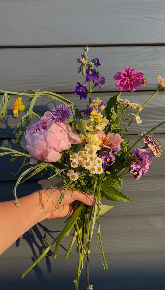 POSY BLOOMS-ASH POSY