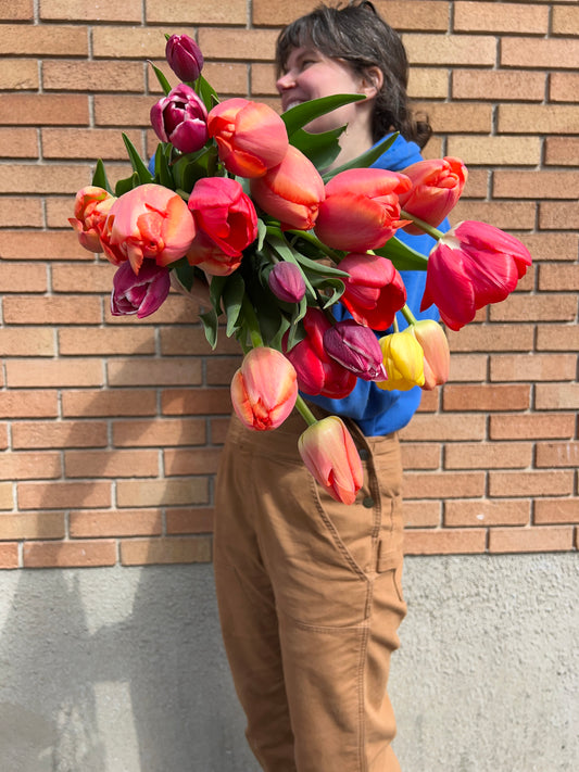 Specialty Tulips 10 Stems