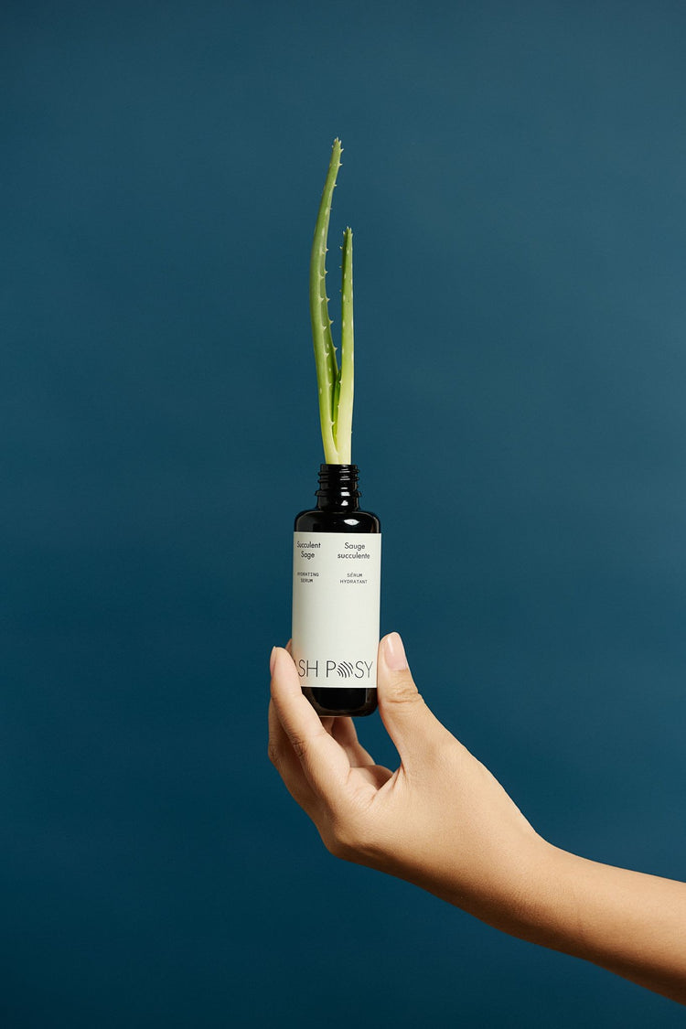 Succulent Sage Hydrating Serum 50ml